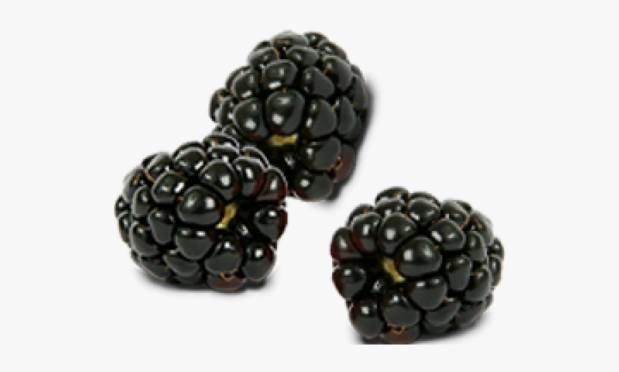 Blackberry Clipart Black Raspberry - Black Raspberry Png, Transparent Clipart