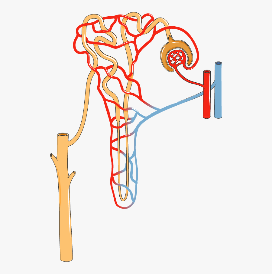 Vakanzi Of Tract And Transparent Background, Transparent Clipart