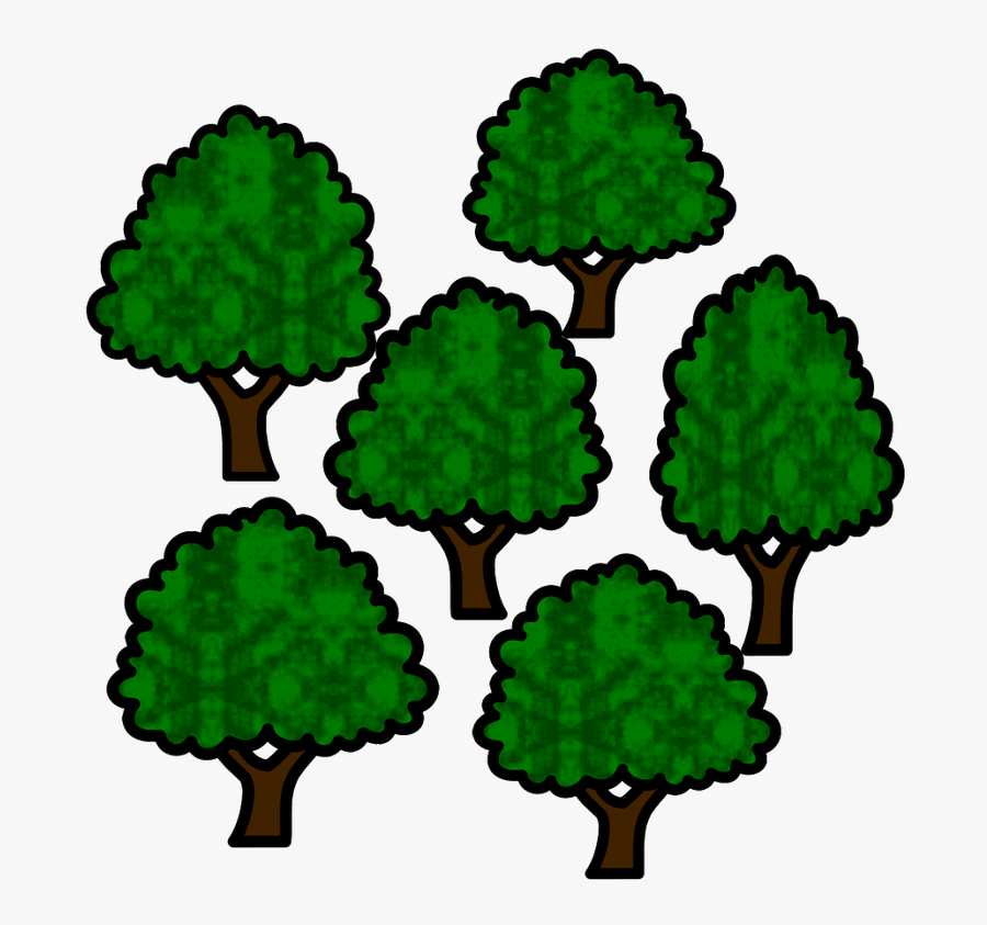 Picture - Elm, Transparent Clipart