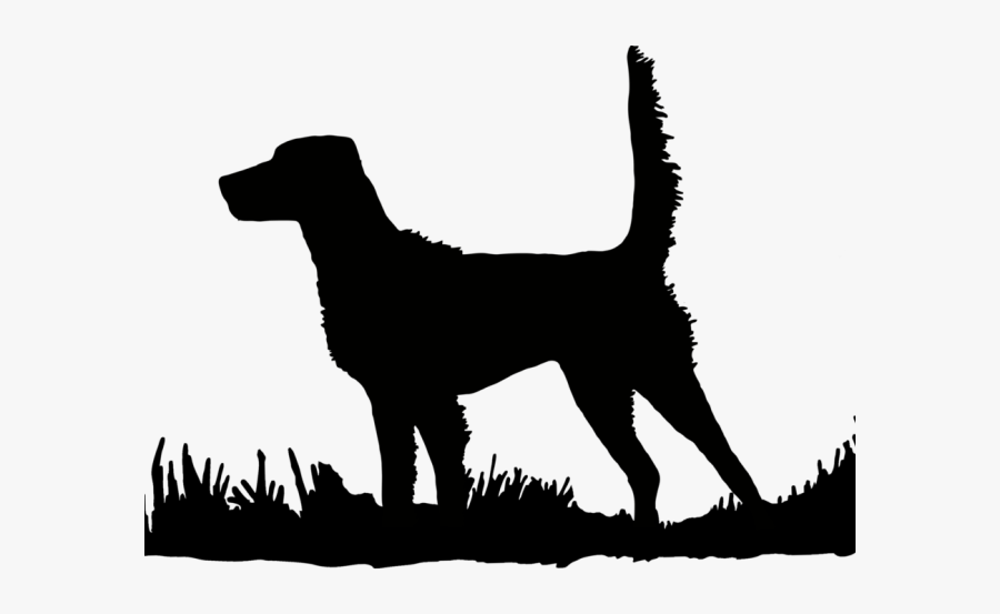 Bird Dog Png Silhouette, Transparent Clipart