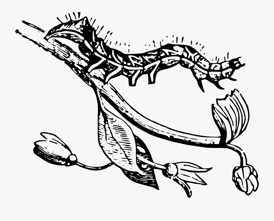 Inchworm Clipart Centipede - Clipart Of An Inchworm Black And White, Transparent Clipart