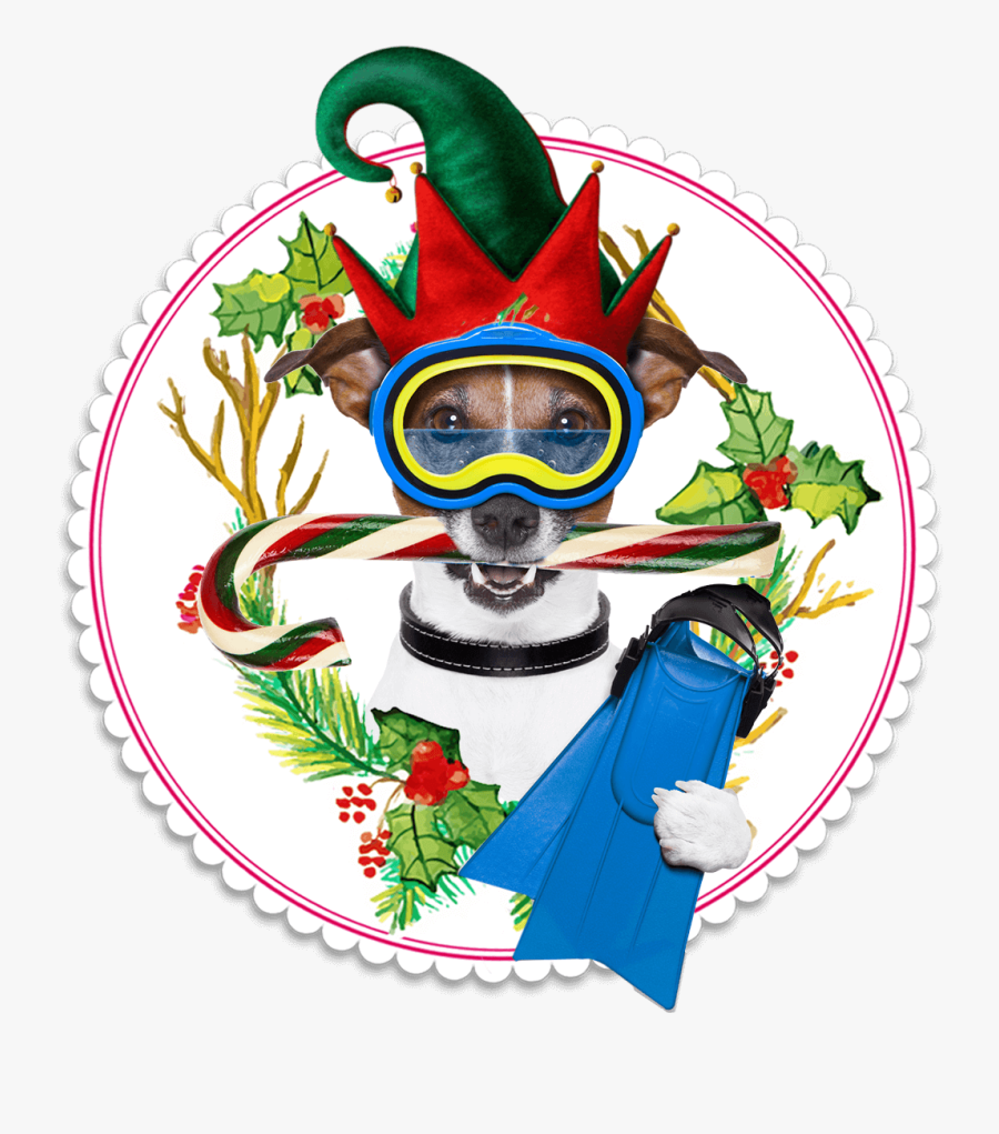 Hatfield Mccoy Christmas Disaster Dinner Feud Show - Dog, Transparent Clipart