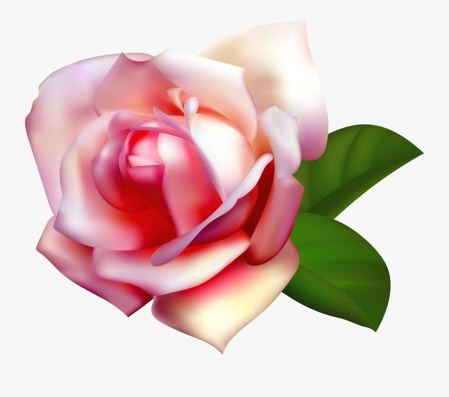 Beautiful Rose Clip Art - White Rose Clipart Png, Transparent Clipart