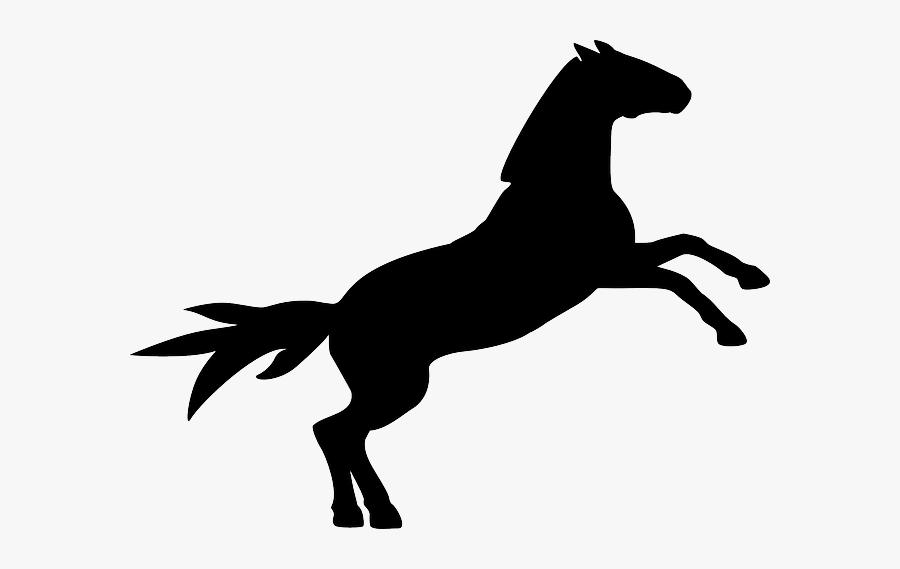 Black Horse, Silhouette, Animal, Black - Cartoon Horse Jumping Silhouette, Transparent Clipart