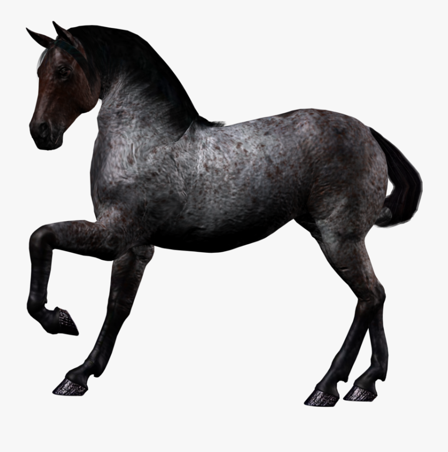 Black Horse Png Animal - Black Horse Png, Transparent Clipart