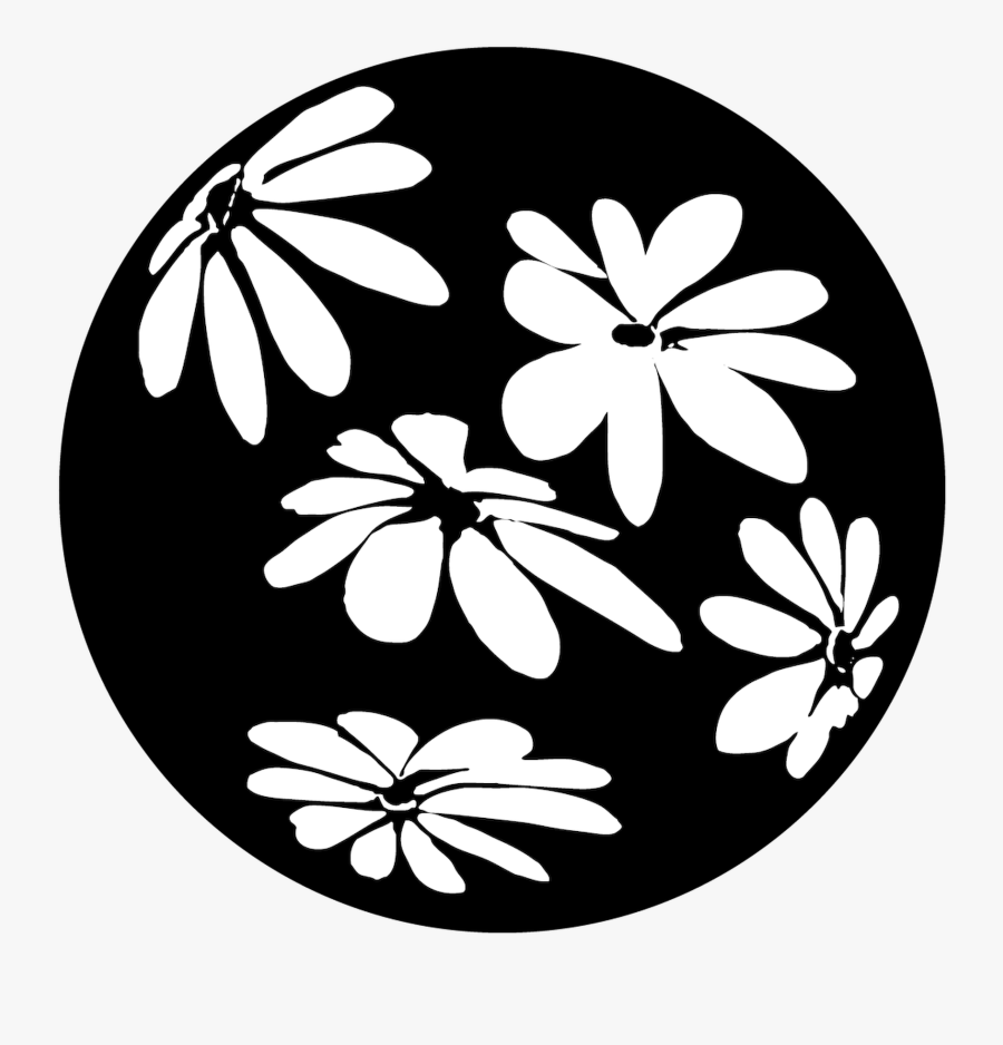 Happy Daisy - Illustration, Transparent Clipart