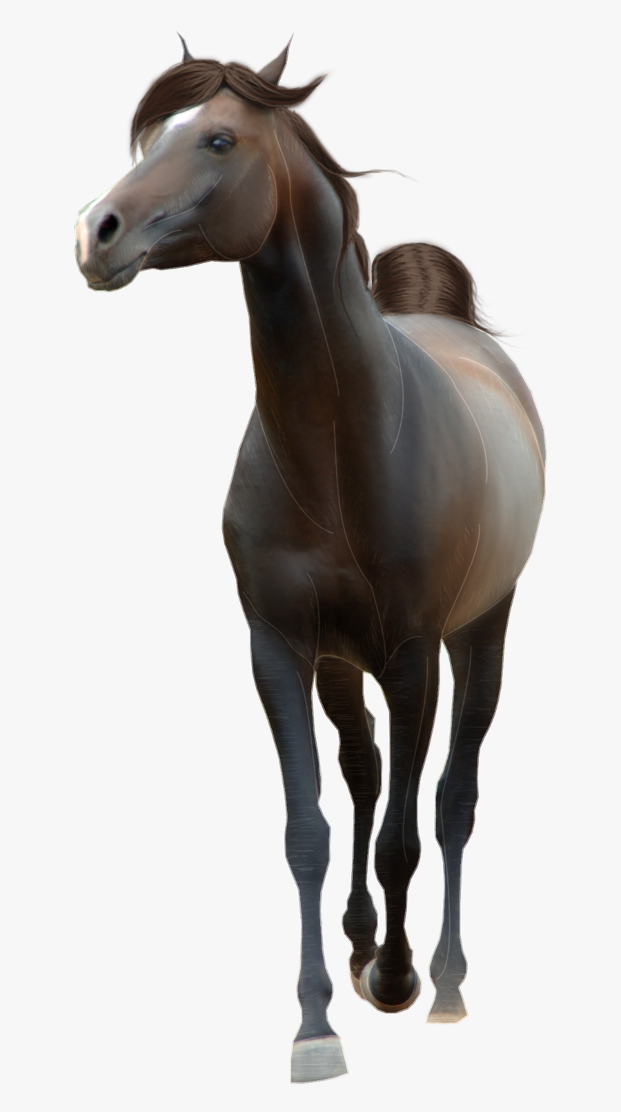Black Horse Png Animal - Horse Png Hd Photos Download, Transparent Clipart