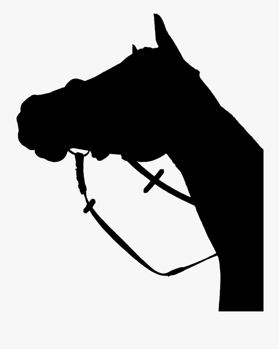 Horse Silhouette Black - Koń Czarny Png, Transparent Clipart