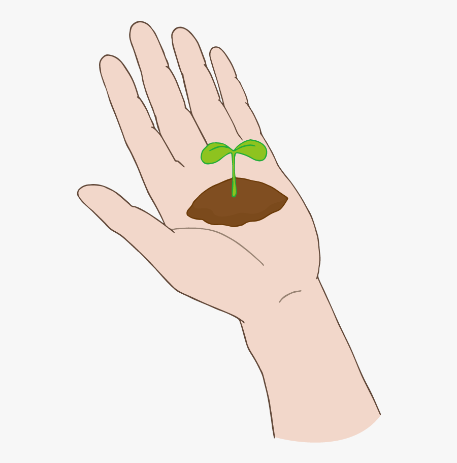 A Bud On The Palm - Png Do Meio Ambiente Mao, Transparent Clipart