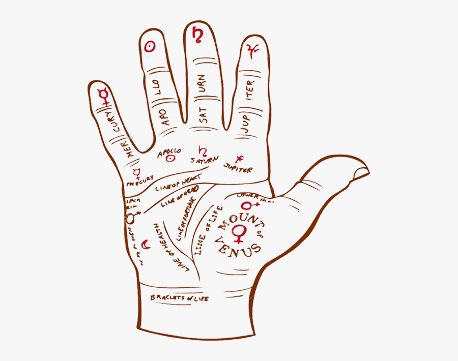 Palm Reading Illustration, Transparent Clipart