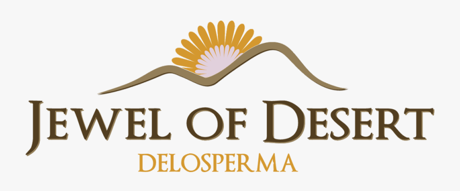 Image Of Delosperma Jewel Of Desert Topaz - Graphic Design, Transparent Clipart
