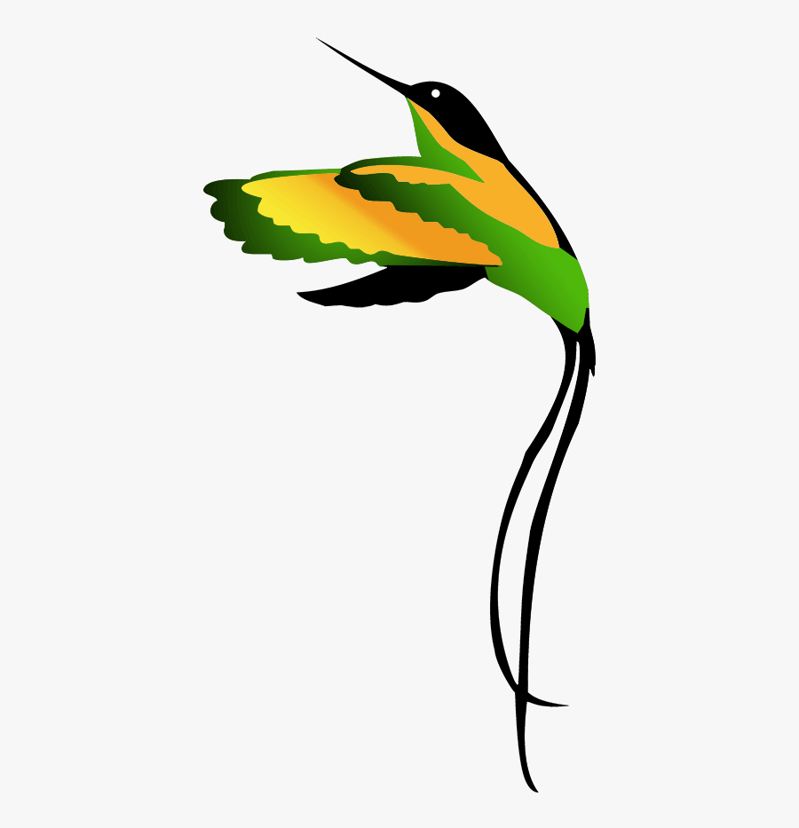 Jamaican National Bird Clipart Drawing - Doctor Bird Clipart, Transparent Clipart