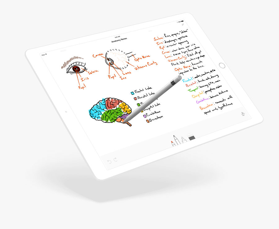 Success Drawing Pencil - Sketch Of A Success Card, Transparent Clipart