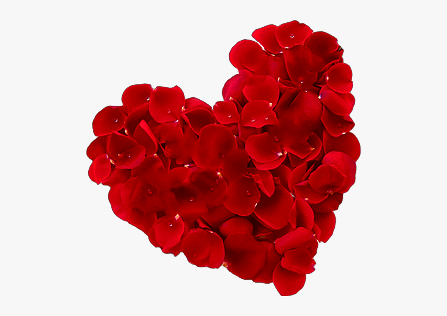 #love #amor #petalos #petals #rose #rosa #rojo #red - Heart And Rose, Transparent Clipart