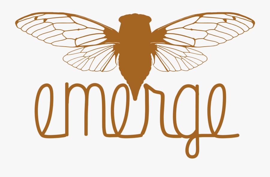 Cicada Vector, Transparent Clipart