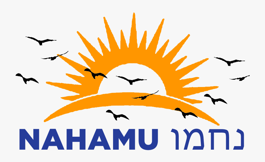 Pajaros En Png, Transparent Clipart