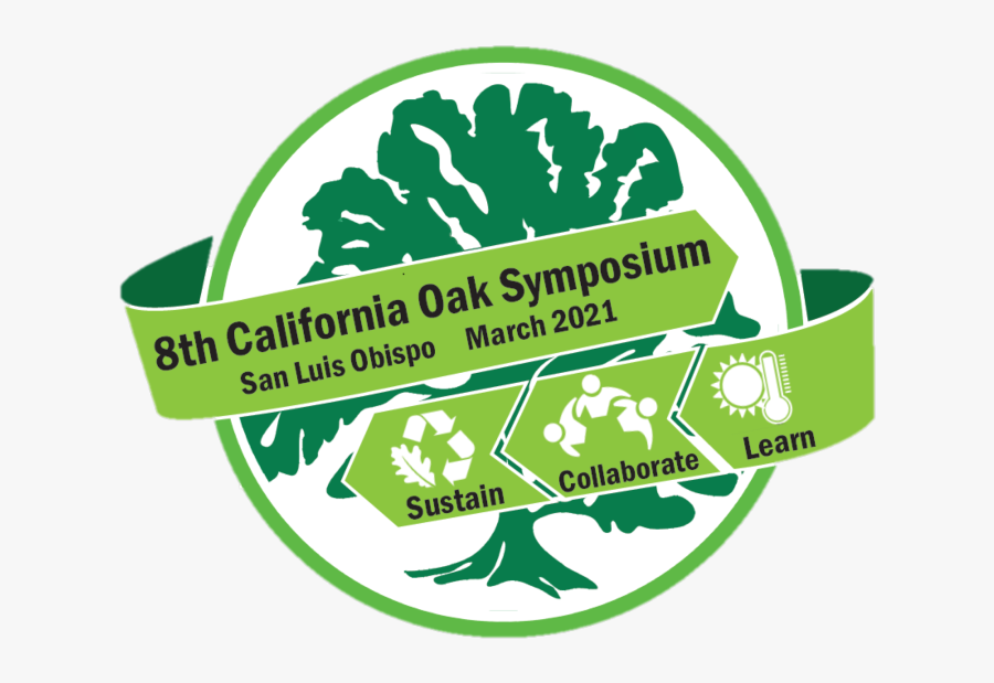 No Background - Sign, Transparent Clipart