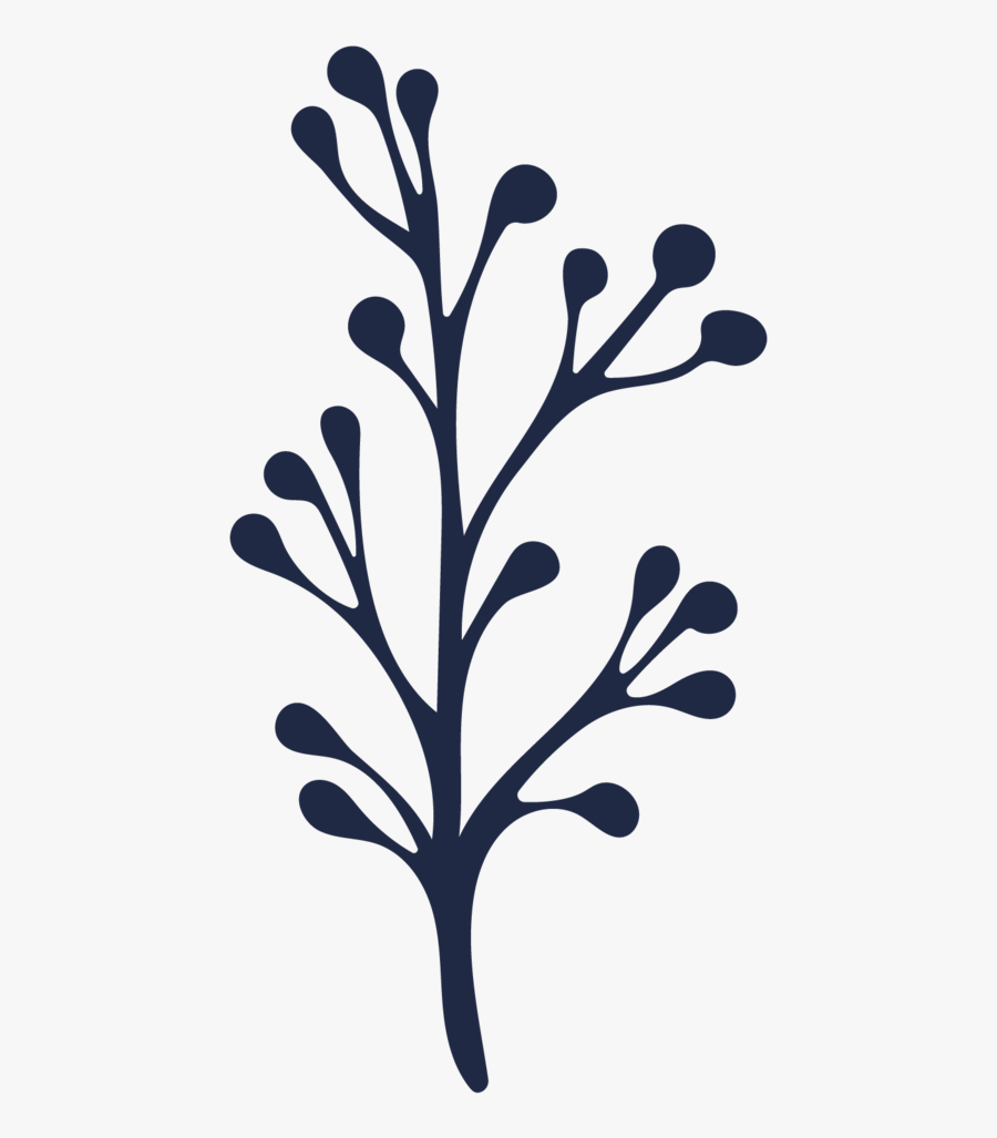 Botanical Elements-07 - Silhouette, Transparent Clipart