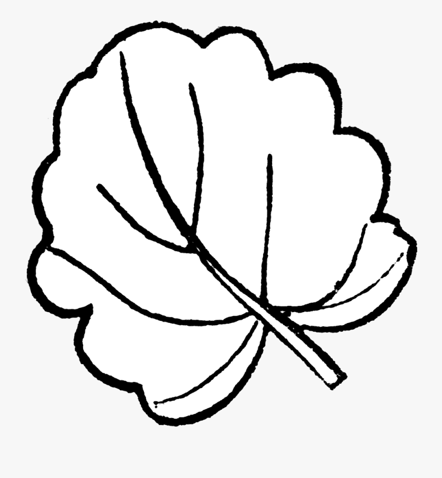 Leaf Outline Clipart Free Images Transparent Png - Clipart Pumpkins Leaves Black And White, Transparent Clipart