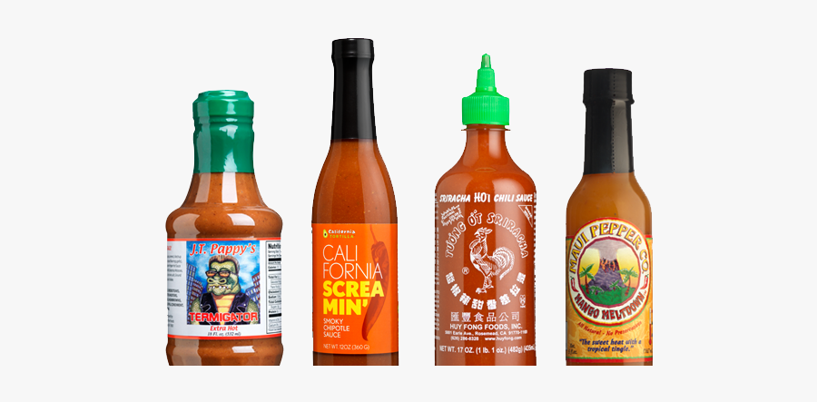 Mexico Clipart Burrito Bowl - Tortilla Restaurant Hot Sauce, Transparent Clipart