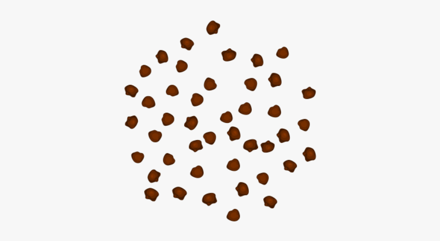 Circle, Transparent Clipart