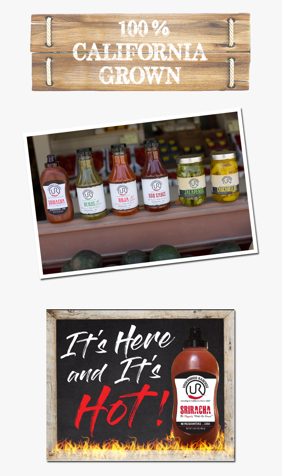 Transparent Sriracha Bottle Png - Bloody Mary, Transparent Clipart