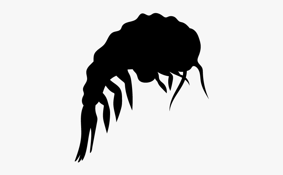 "
 Data Src="//cdn - Plankton Silhouette, Transparent Clipart