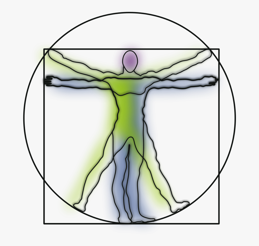 Vitruvian Man - Line Art Vitruvian Man, Transparent Clipart