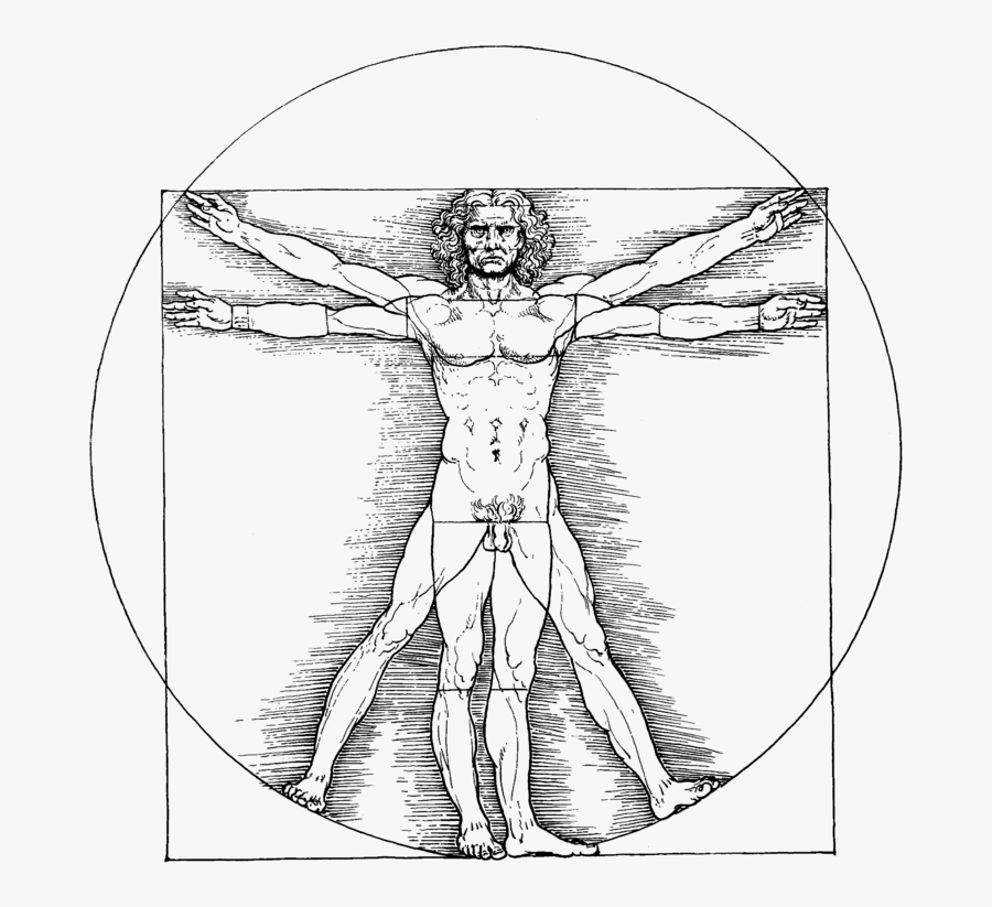 Da Vinci Vitruvian Man Png, Transparent Clipart