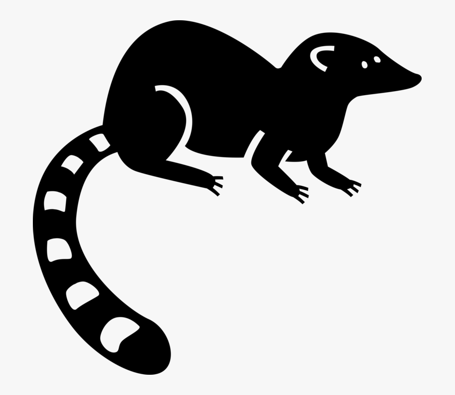 Vector Illustration Of Bushy-tailed Lemur From Island - Marsupial, Transparent Clipart