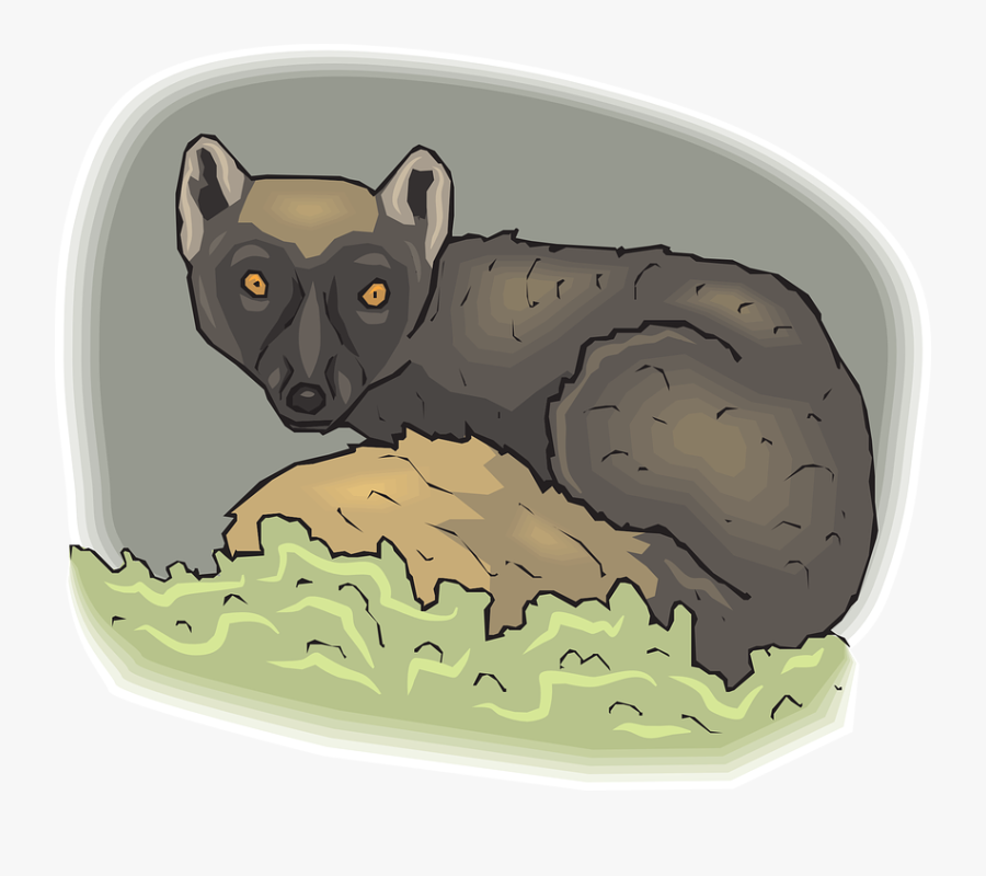 Lemur, Animal, Mammal, Nature, Wild, Wildlife, Zoo - Lemurs, Transparent Clipart