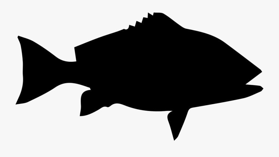 My Black Moor Fish Has A White Outline Around His Eye - Red Snapper Fish Silhouette, Transparent Clipart