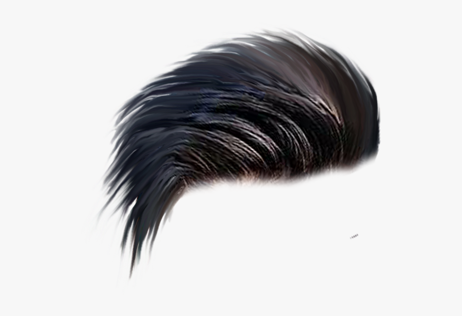 Transparent Bullwhip Clipart - Hair Style Men Png, Transparent Clipart