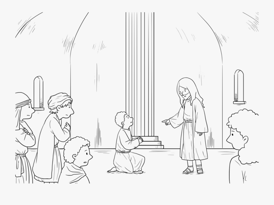 Photography, Transparent Clipart