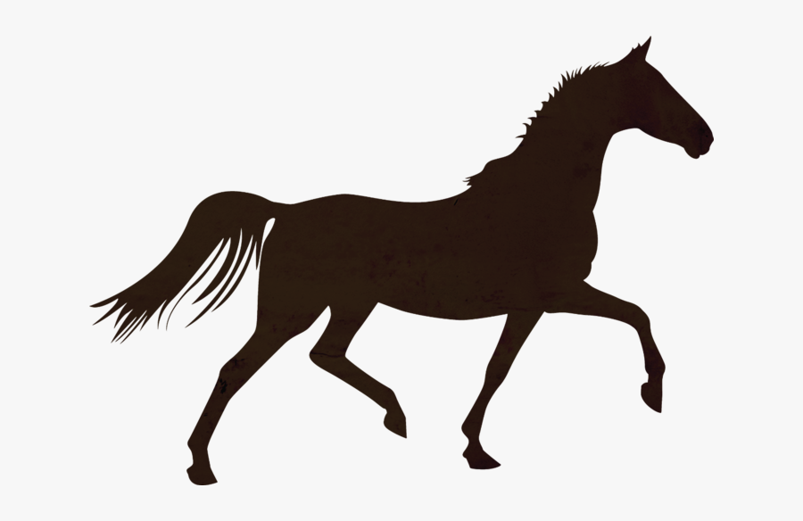 Horse Colt Foal Stallion Mare - Horse Trot Clipart, Transparent Clipart