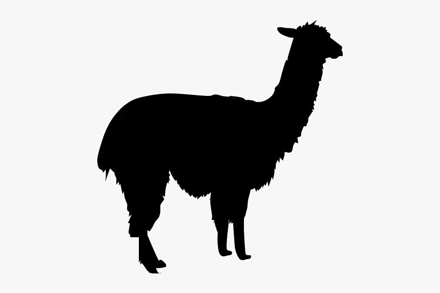 Transparent Alpaca Clipart, Alpaca Png Image - Llama Clipart, Transparent Clipart