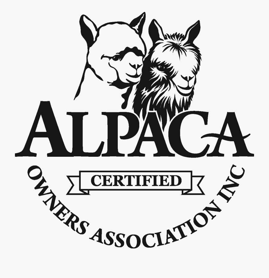 Alpaca, Transparent Clipart