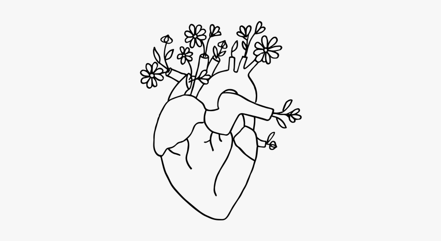 Line Art, Transparent Clipart