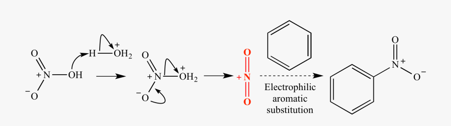 Clip Art Illustrated Glossary Of Organic - Nitronium Intermediate, Transparent Clipart