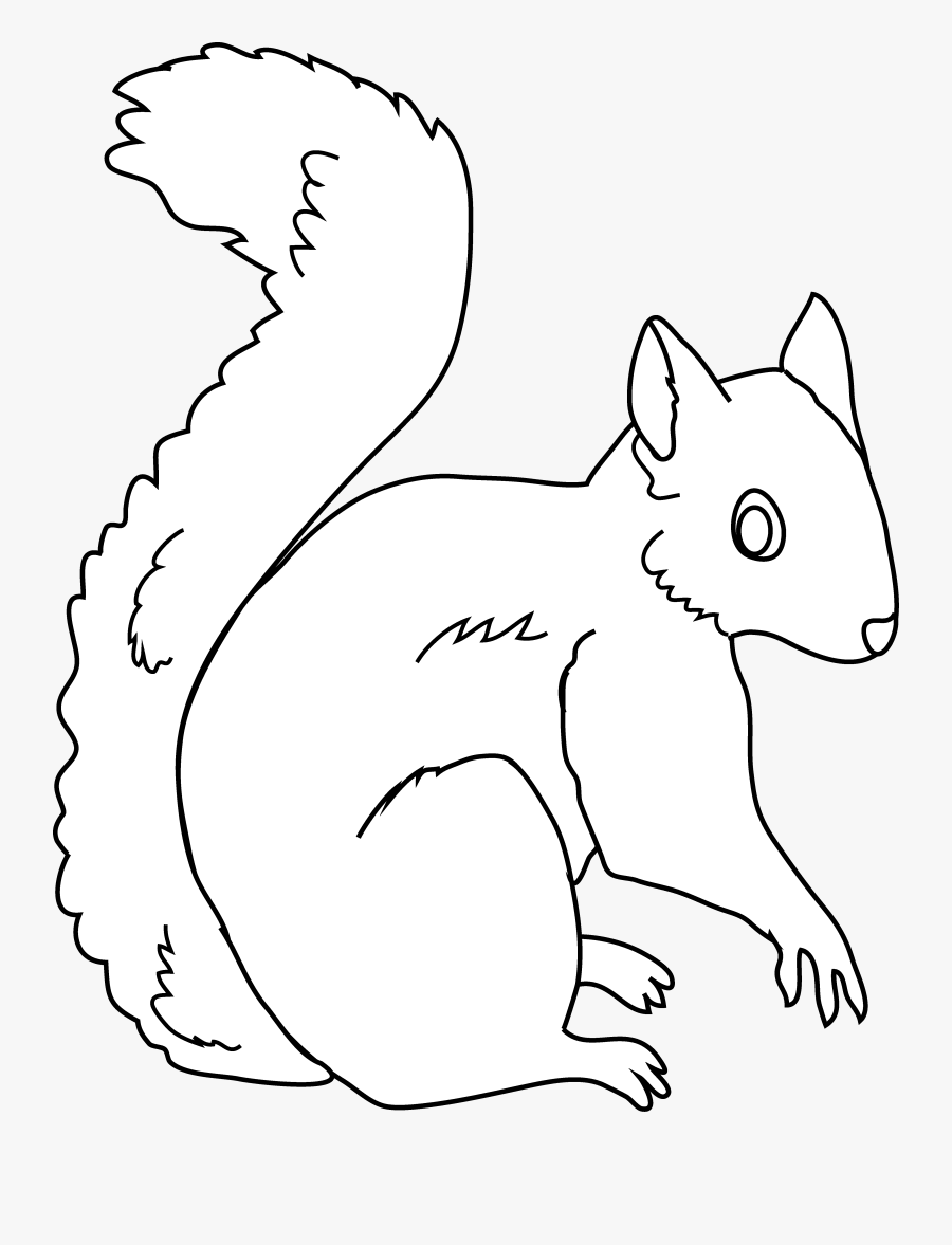 Clipart Squirrel Color - Rat And Squirrel Clipart Black And White, Transparent Clipart