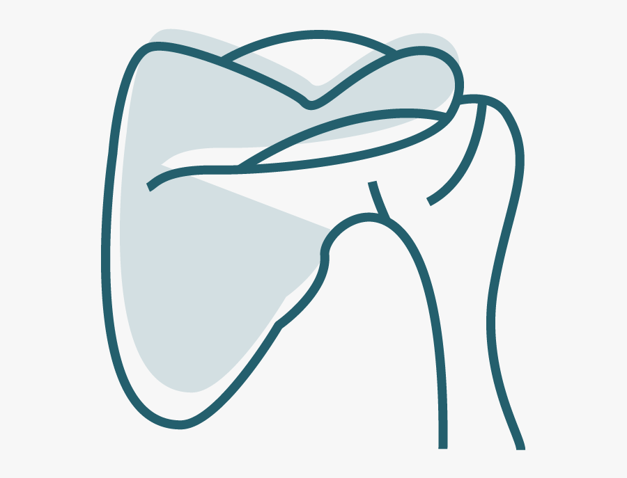 Transparent Joint Png, Transparent Clipart
