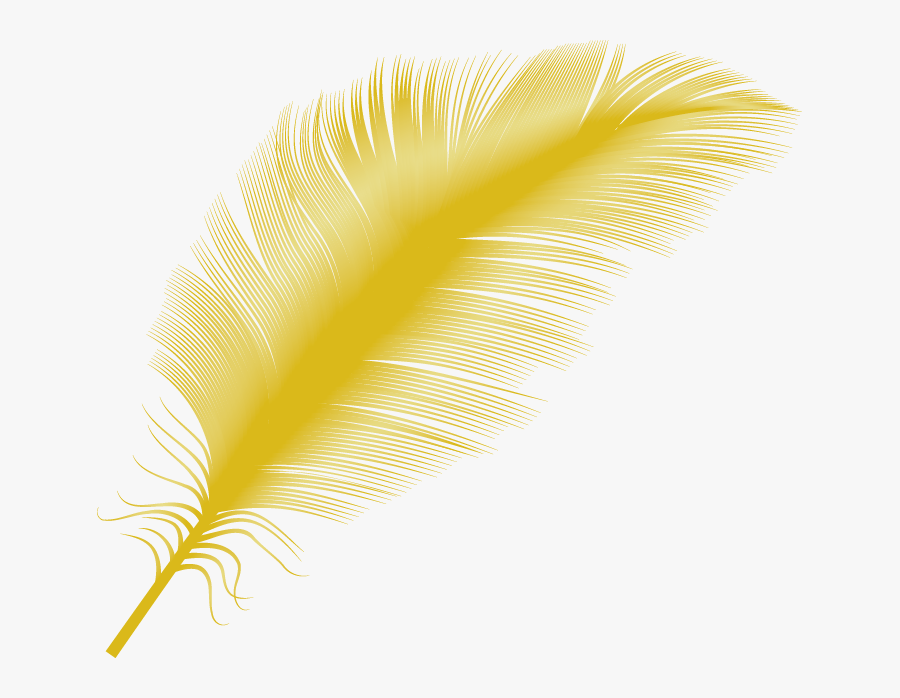 Yellow Feather Close-up - Transparent Yellow Feather Png, Transparent Clipart