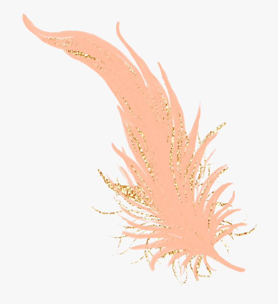 Clip Art Glitter Feathers - Marine Biology, Transparent Clipart