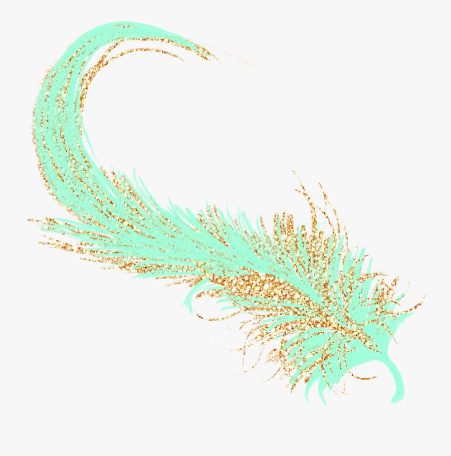 Transparent Feathers Pastel - Macro Photography, Transparent Clipart