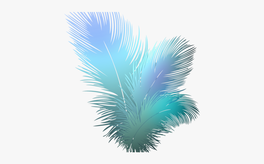 Transparent Background Feather Clip Arts, Transparent Clipart