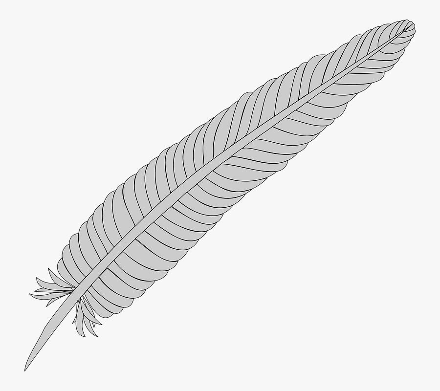 Feather, Silver, Quill, Gray - Feather Png Hd Vector, Transparent Clipart