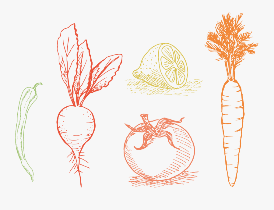 Illustration, Transparent Clipart