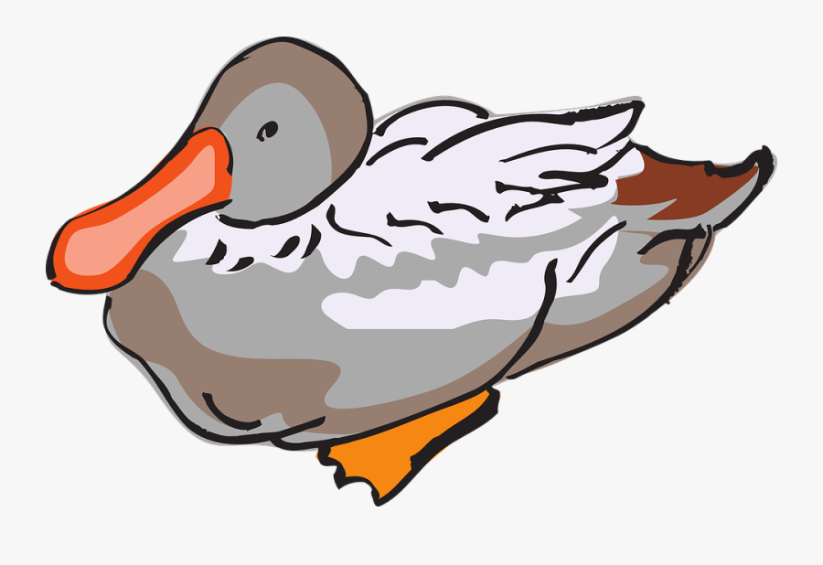 Duck Feathers Cliparts 13, Buy Clip Art - Duck, Transparent Clipart