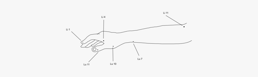 Angle,area,wing - Drawing, Transparent Clipart