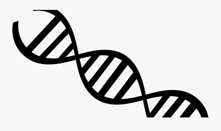 But Since Genetics Only Makes Up For 30%, What Are - Genetics Clipart, Transparent Clipart